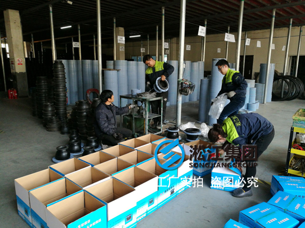 【案例】重慶水上公園項目使用同心異徑橡膠接頭、大小頭